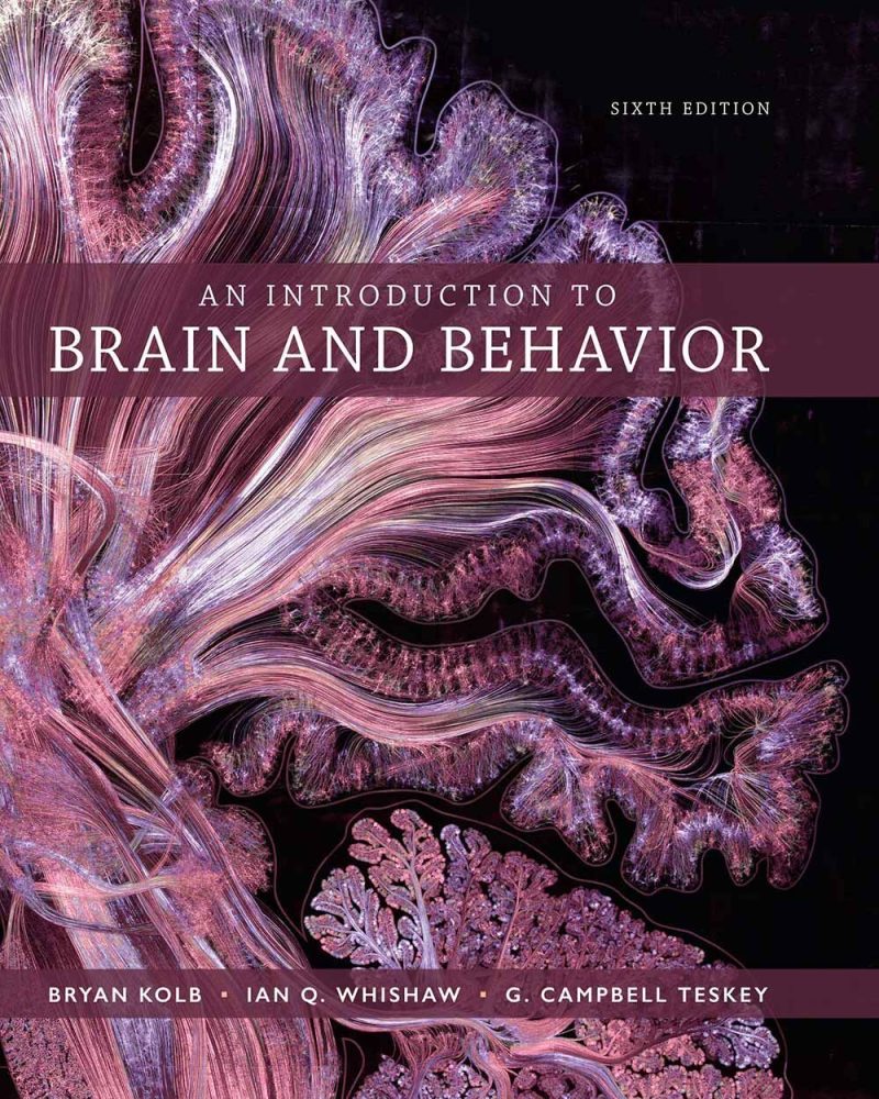 An Introduction to Brain and Behavior